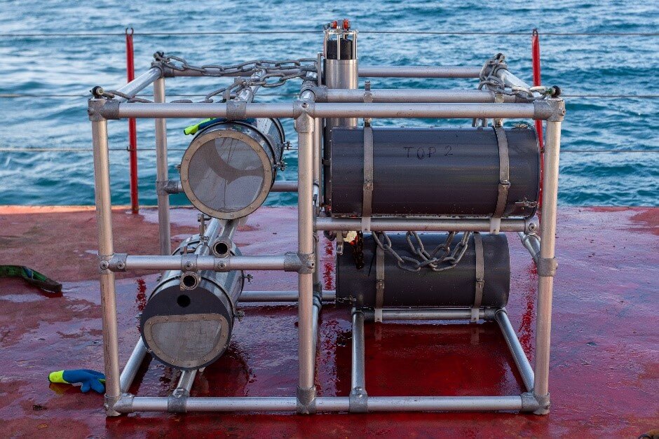 Amphipod trap