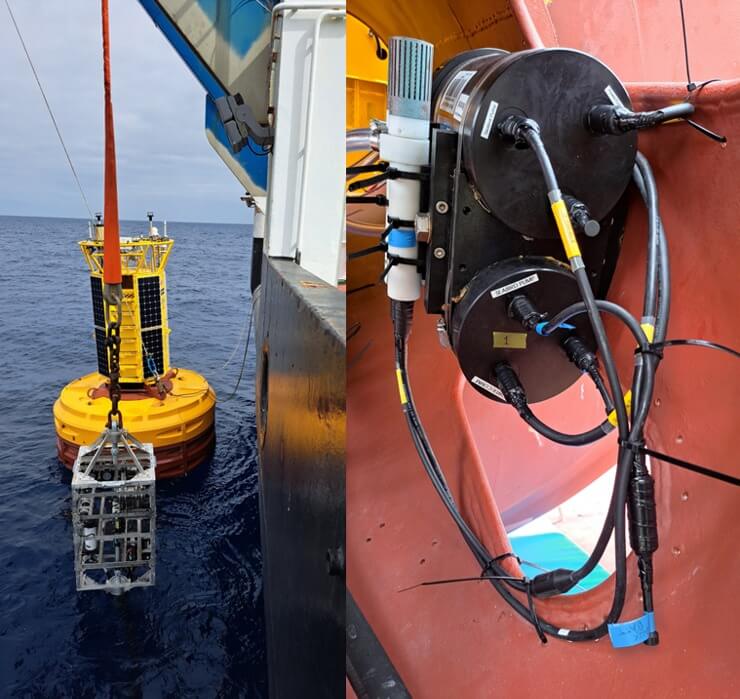 Buoy and sensor frame deployment