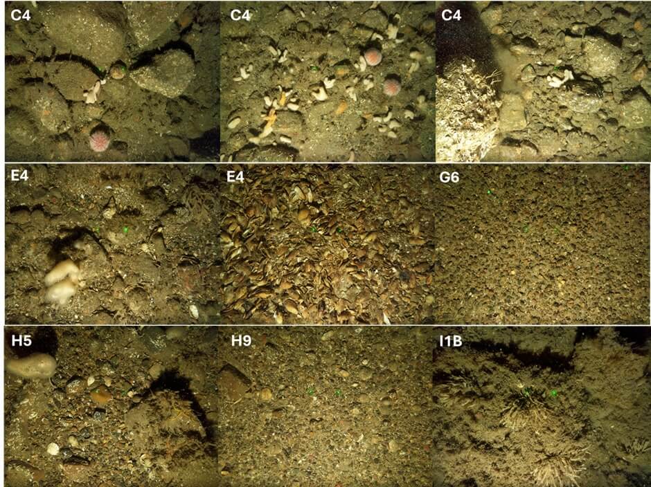 Seabed images
