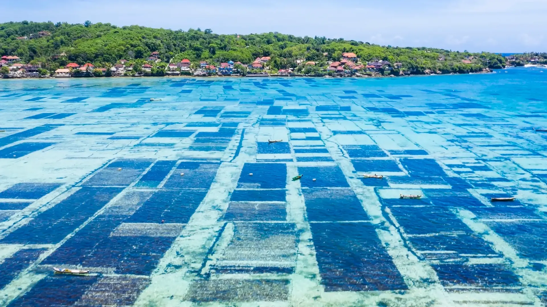 Fisheries & Aquaculture