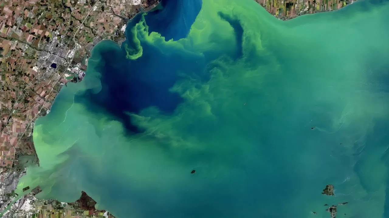Lake Erie algal bloom event