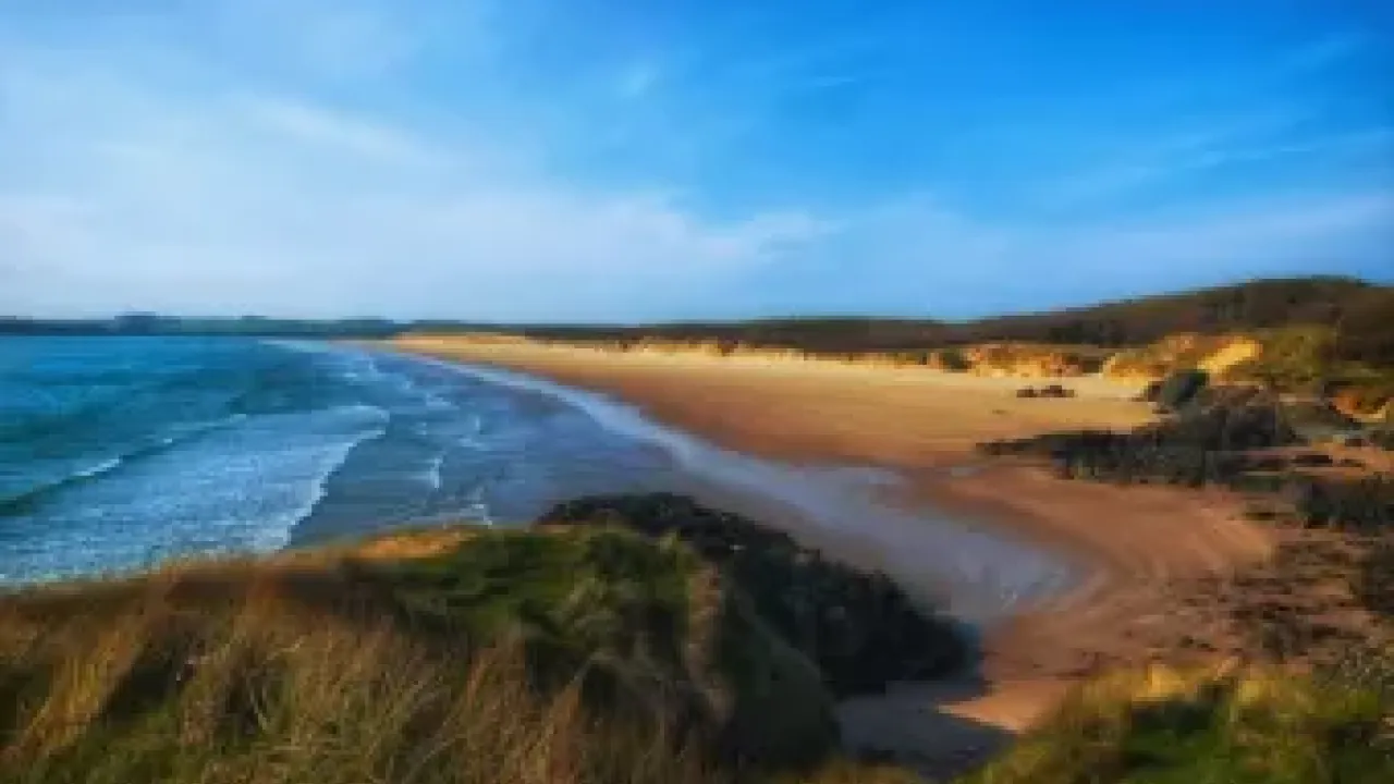 Rising UK marine heatwave research priorities outlined in new national roadmap