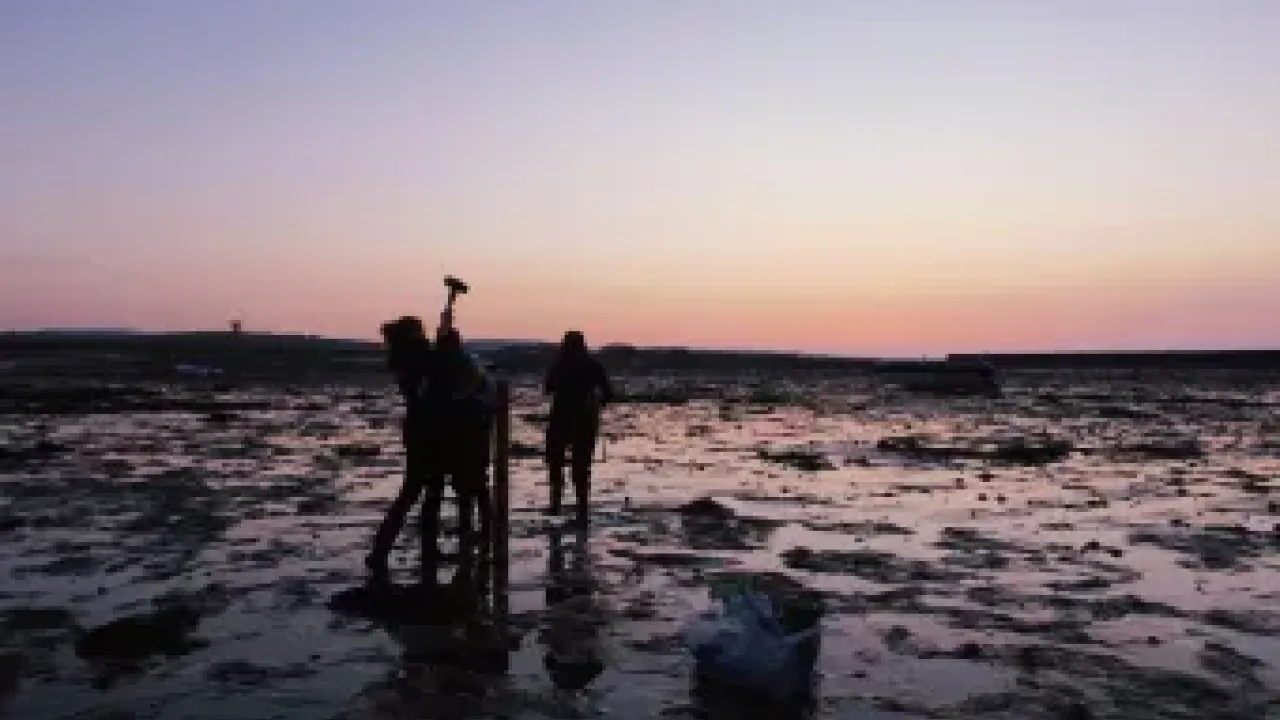 Fieldwork