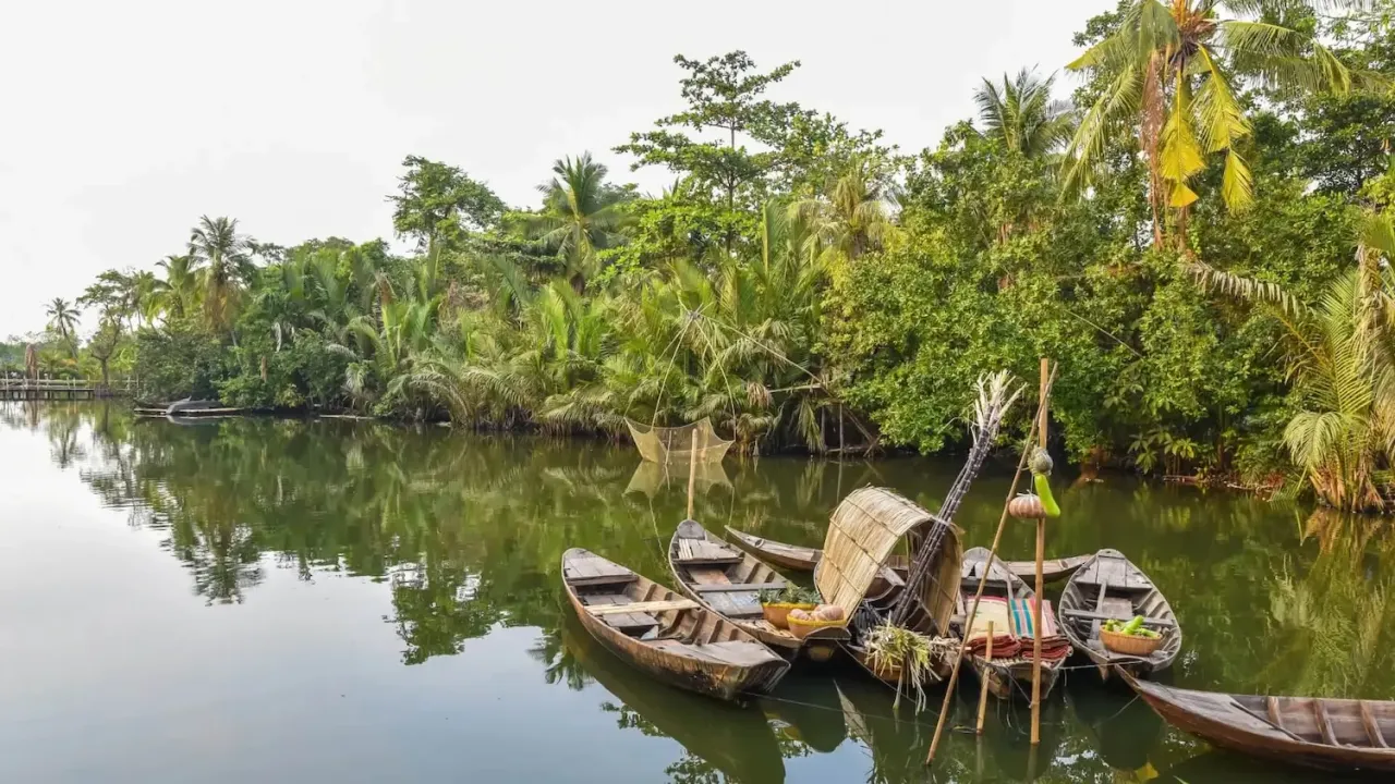 Mangrove jungle with boats in the water