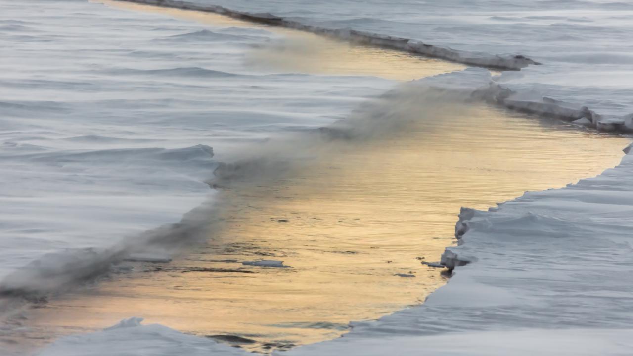Antarctic Sea Ice