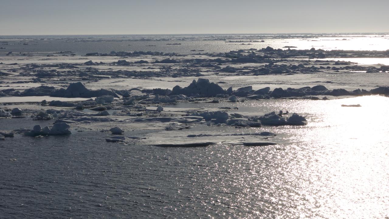 Arctic Ice National Oceanography Centre
