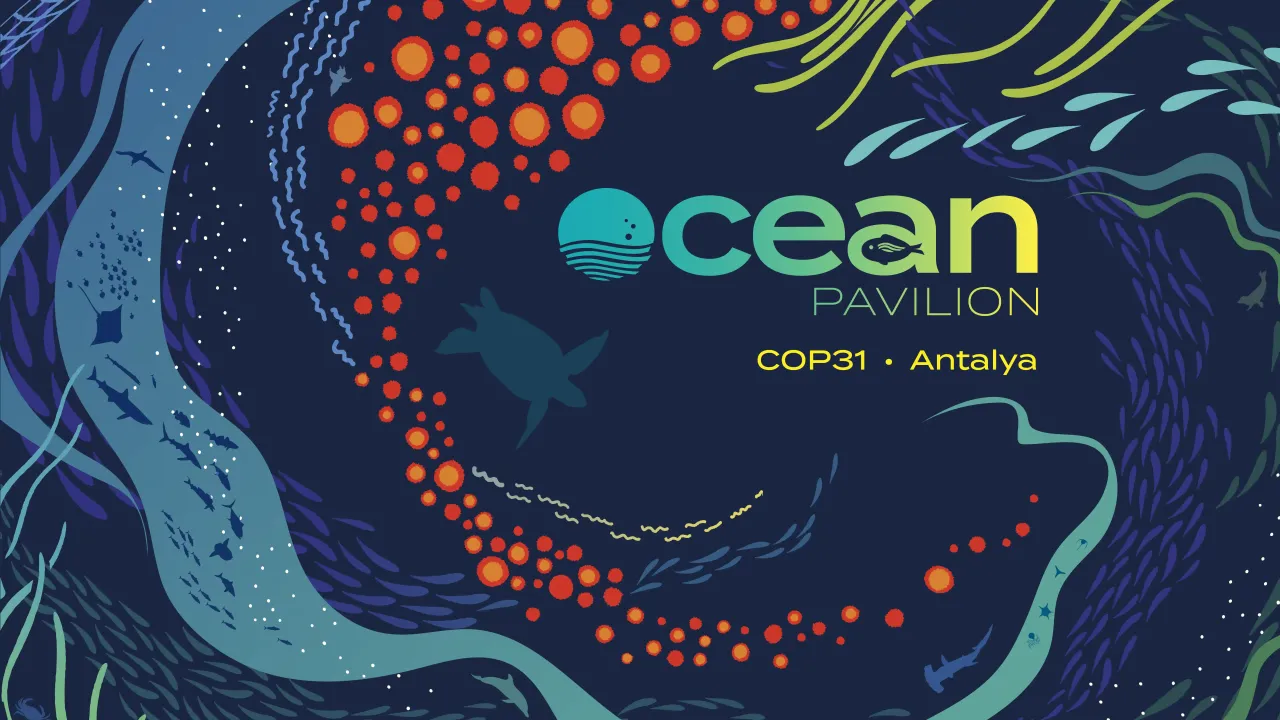 COP31