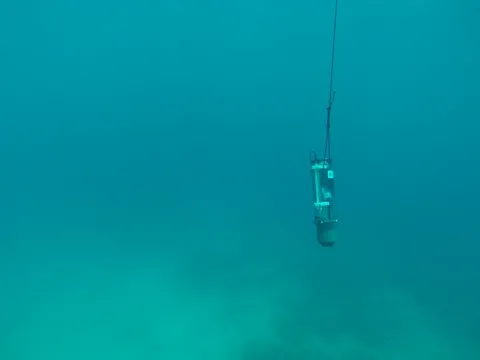 Nutrient sensor underwater