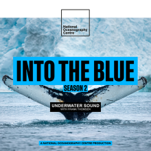  How Loud Are Our Oceans? The Impacts of Underwater Sound