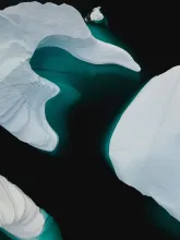 Arctic study uncovers overlooked source of vital nutrient for marine life 