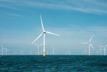 Study reveals influence of offshore wind farms on ocean temperatures  