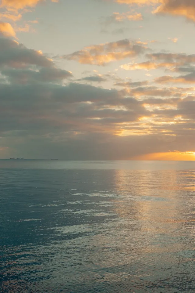 Ocean Carbon