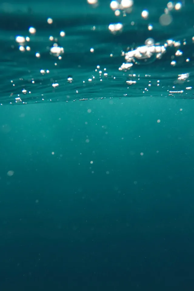 Subsea Cables