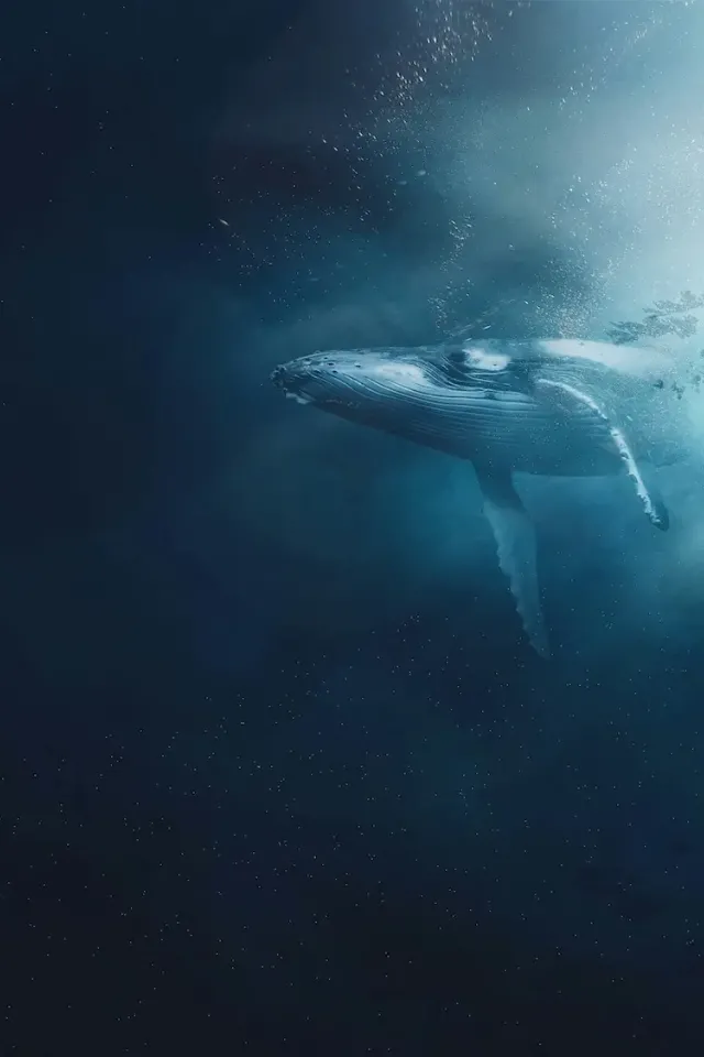 Ocean Noise