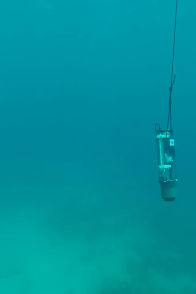 Nutrient Sensors