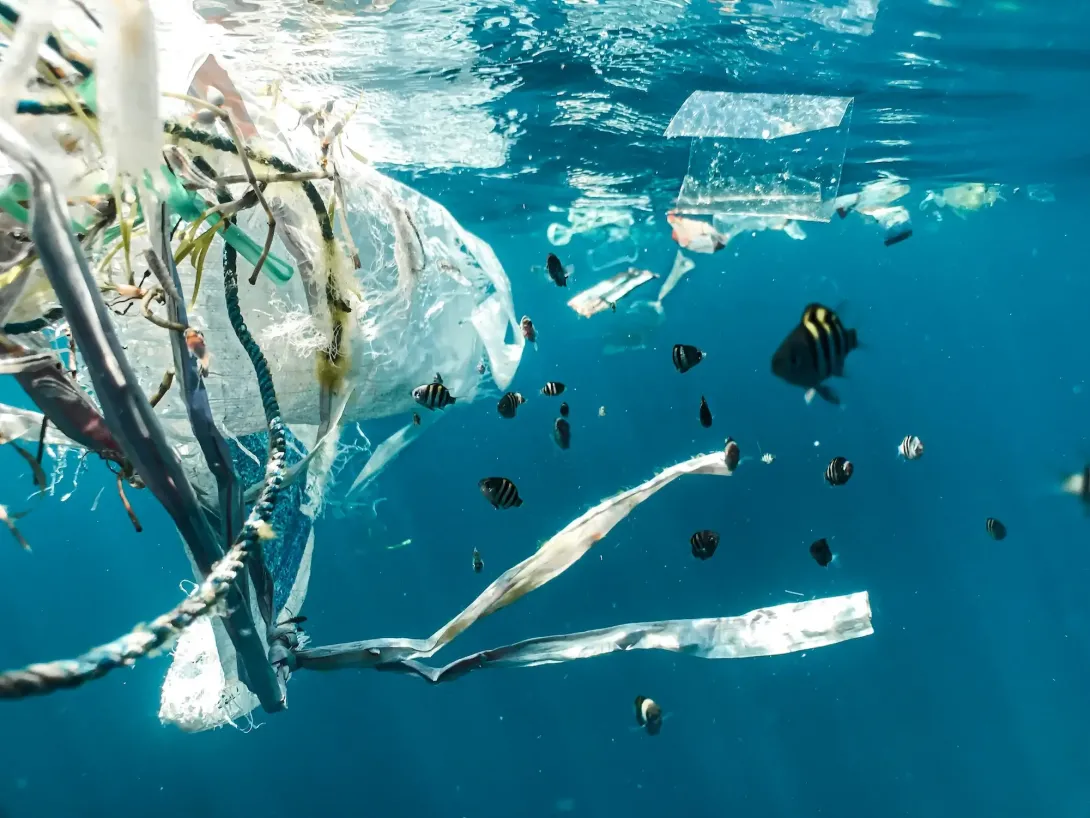 What are the risks of microplastics?