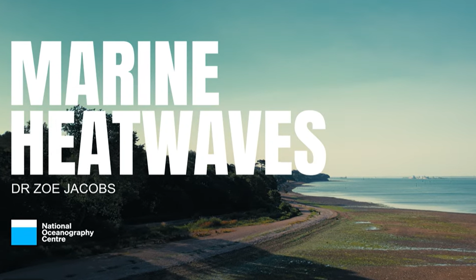 UK Marine Heatwaves Explained (Why our seas are warming)