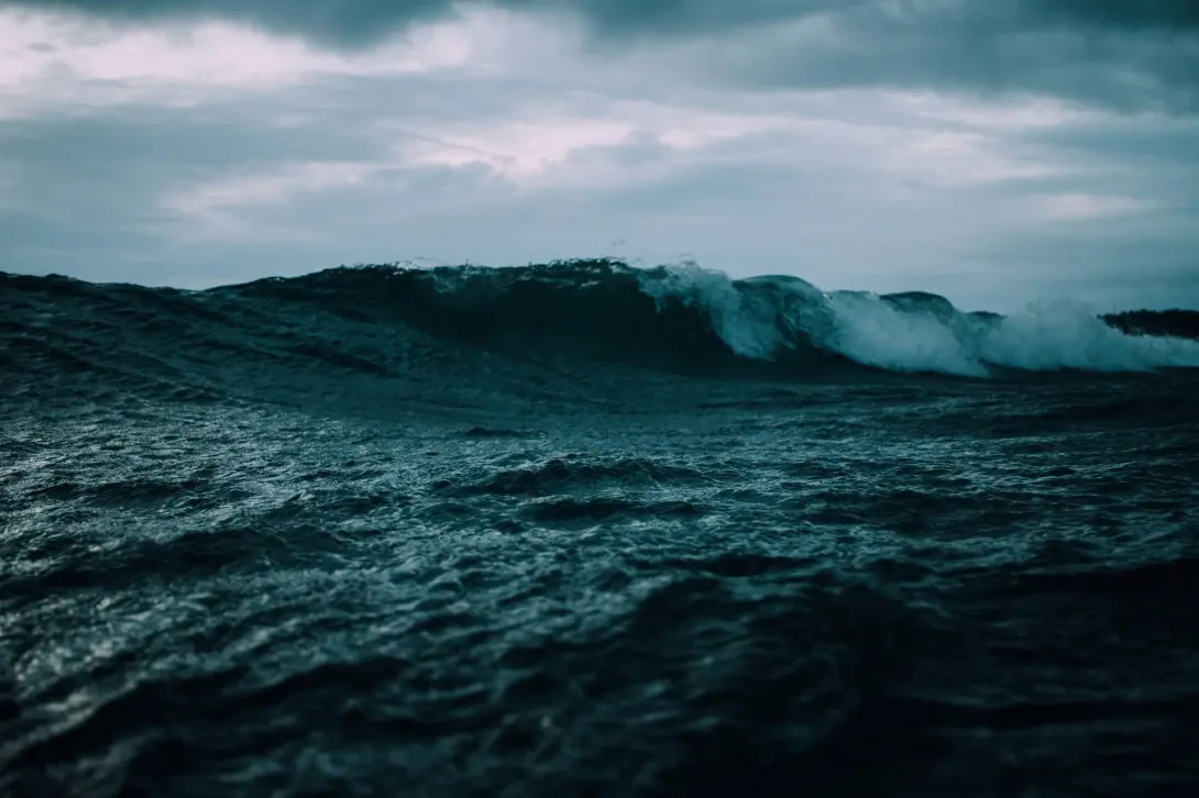 Discover the Ocean