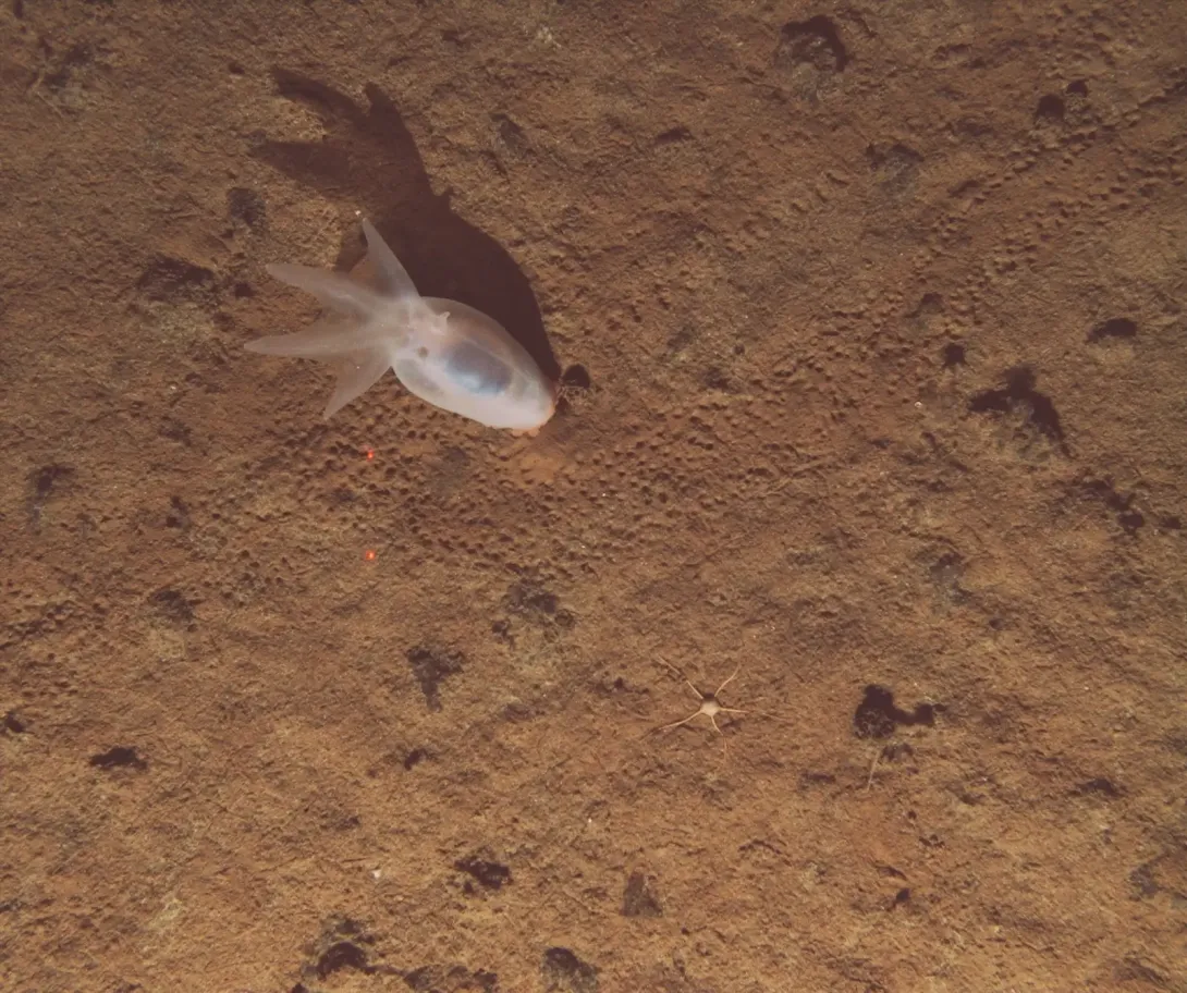 JC257: Assessing a Critically Important Region of the Ocean